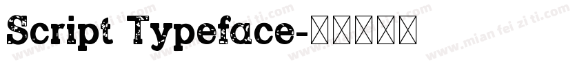 Script Typeface字体转换